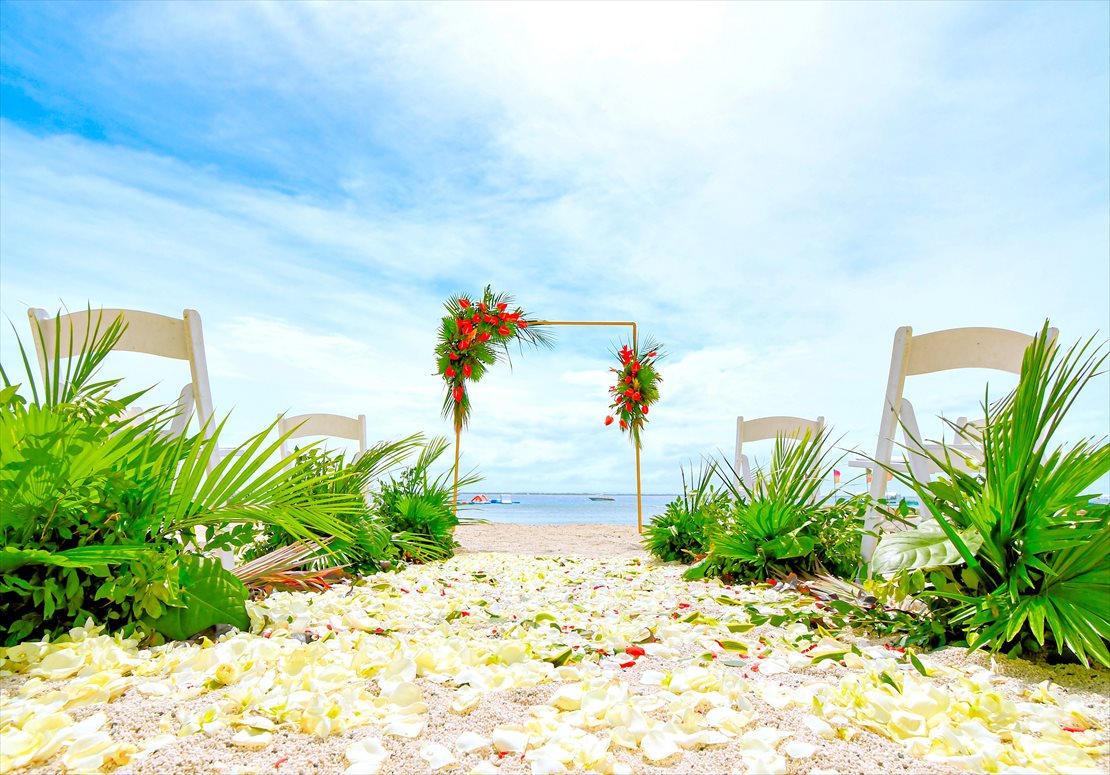 Beach Front Tropical Wedding