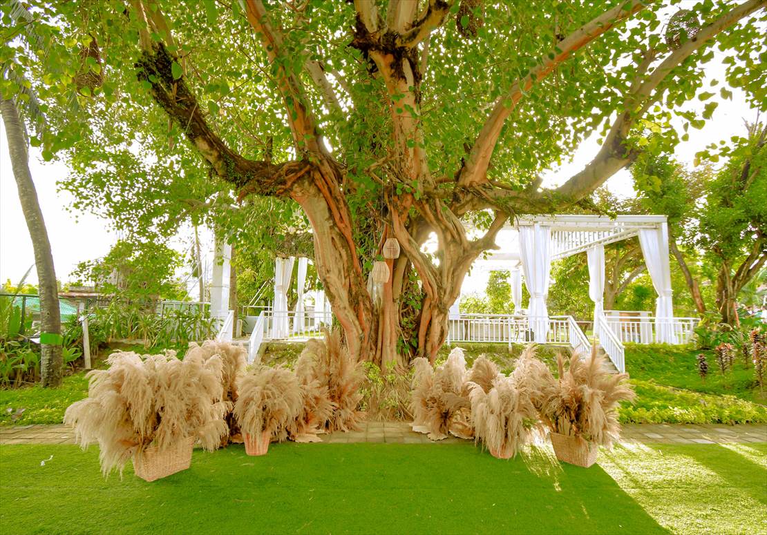 Rastic Natural Wedding<br>at Tree Garden